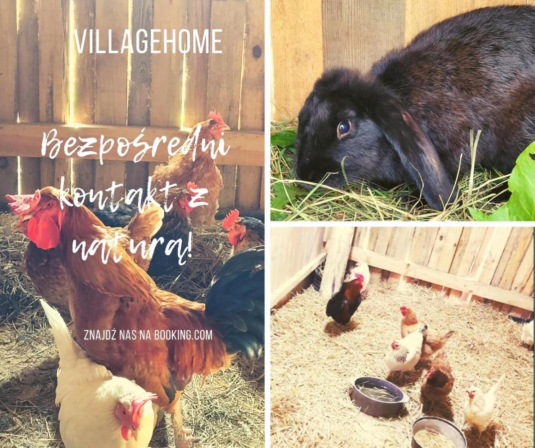 Agroturystyka Kaszuby Villagehome Borzytuchom Exterior foto